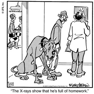 marmaduke
